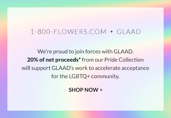 pride-gifts-glaad-global-nav-banner-580x400.jpg
